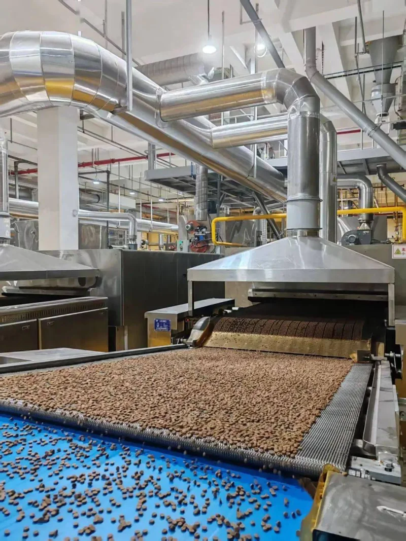 Lista de verificación para proveedor OEM de alimento seco para gatos: fórmula, palatabilidad y empaque de exportación