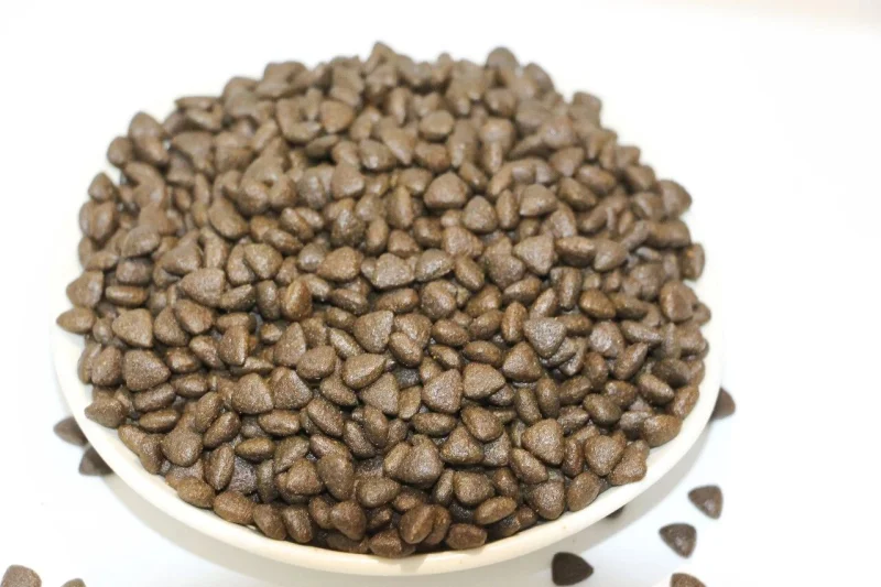Dry pet food kibble sample for export buyers