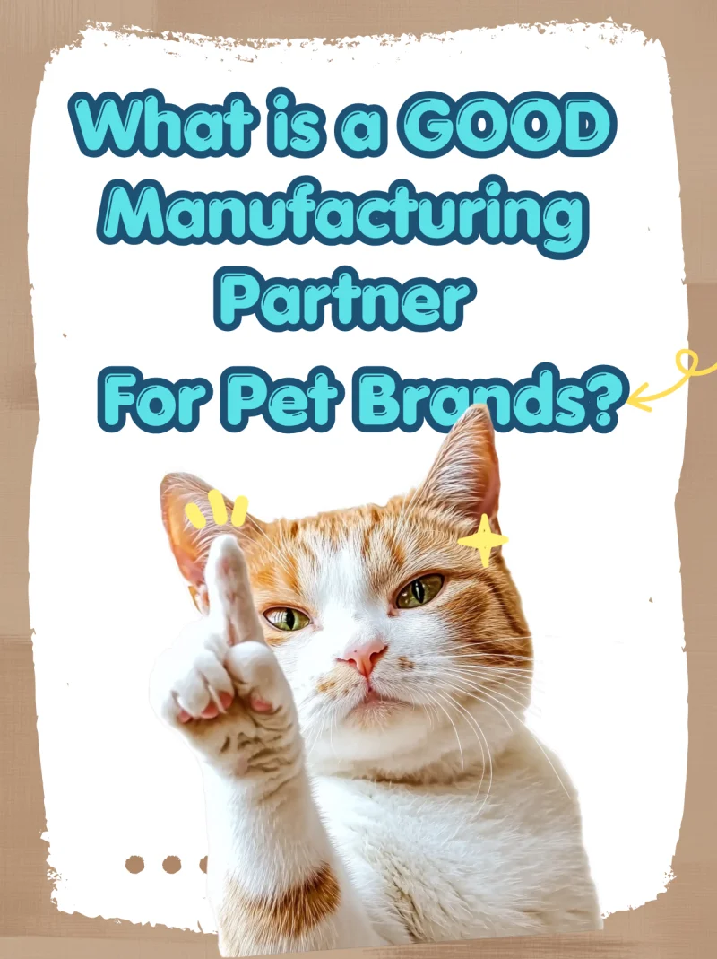 Más que un proveedor: conozca a Xinji Pet Food en Petfair Vietnam 2026