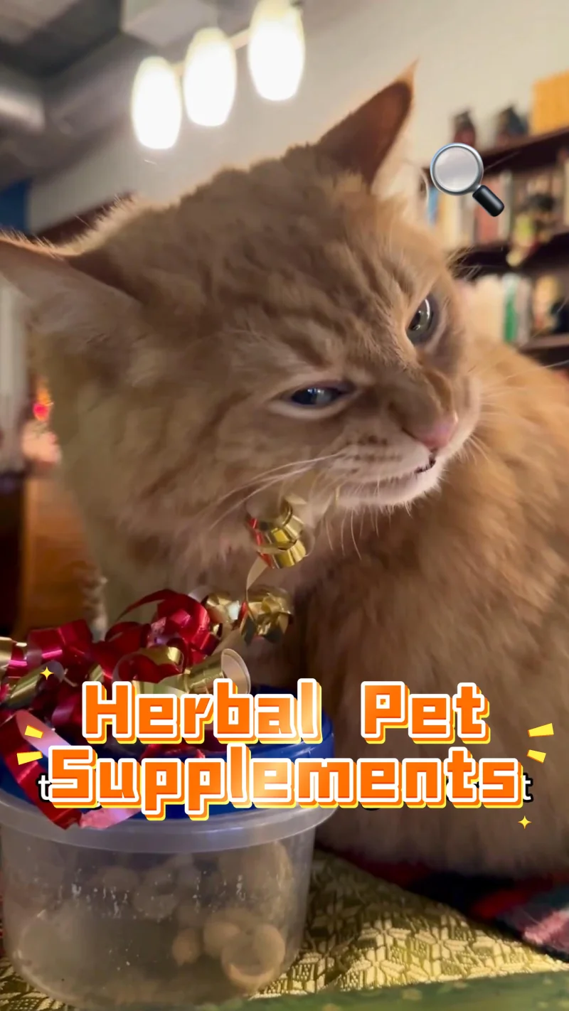 Herbal Pet Supplements for Private Label Brands: Building Differentiated Products